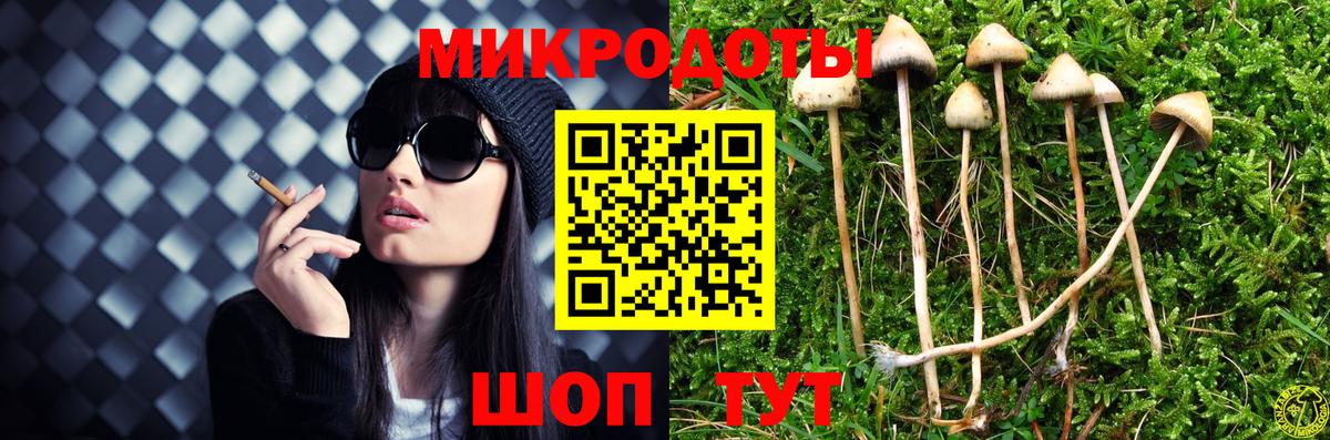 Шахты  Галлюциногенные грибы ЛСД  Вход с VPN 